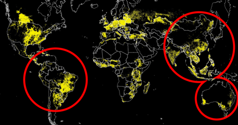 The Pessimist's Guide to 2019