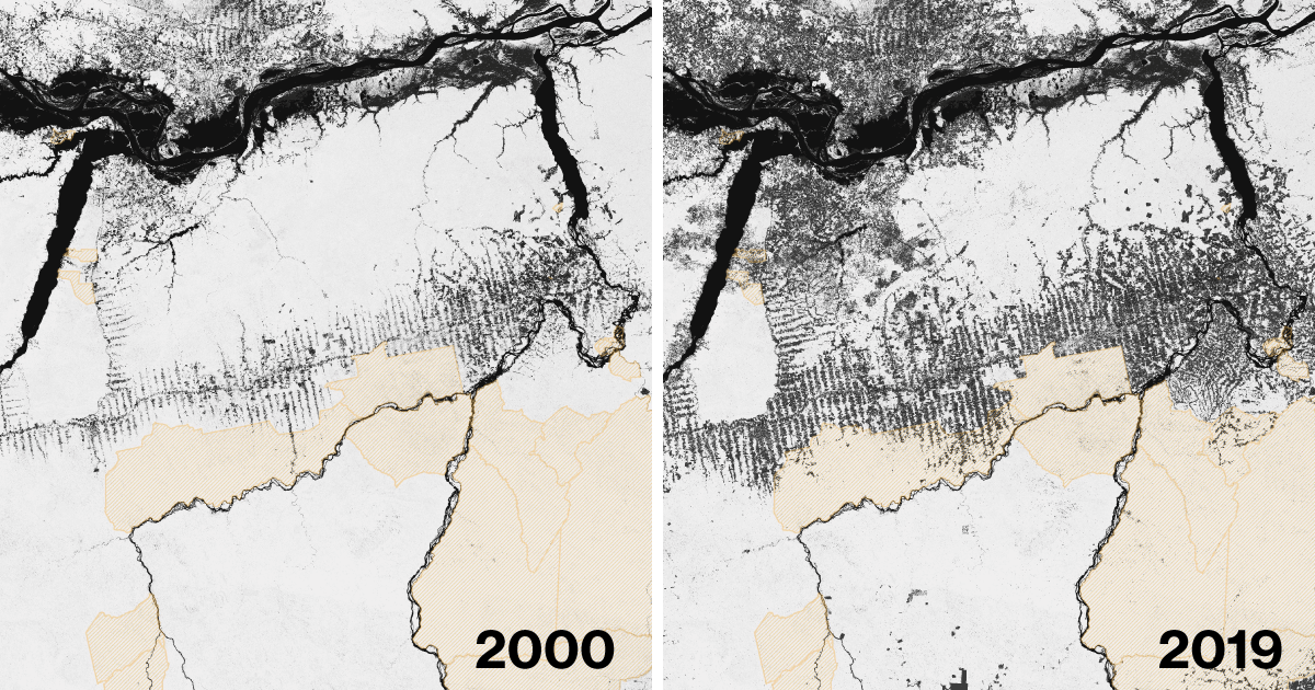 Image of the story’s main graphic