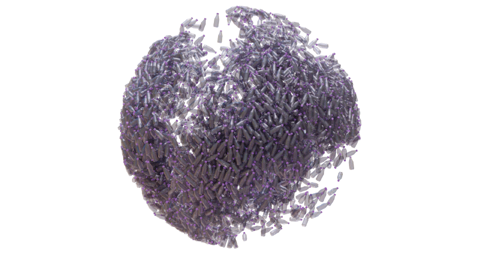 Image of the story’s main graphic