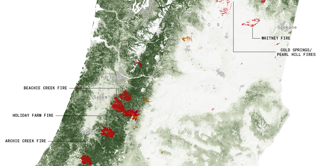 Image of the story’s main graphic