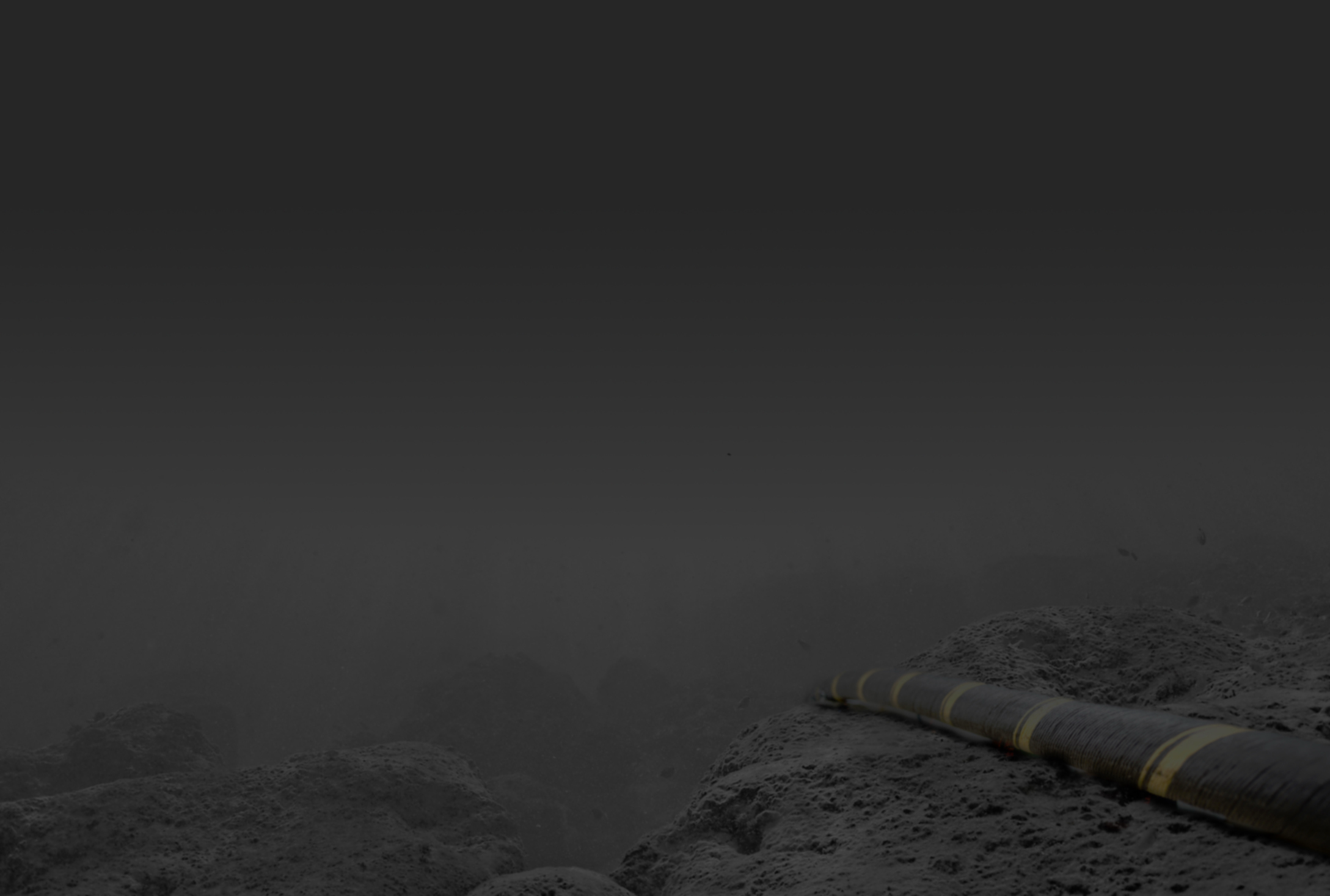 Bottom background image