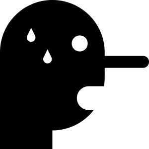 Lying to government officials